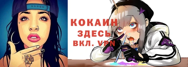 первитин Богородицк