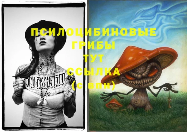первитин Богородицк