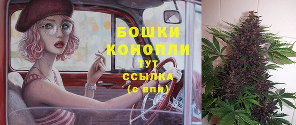 крисы Богданович