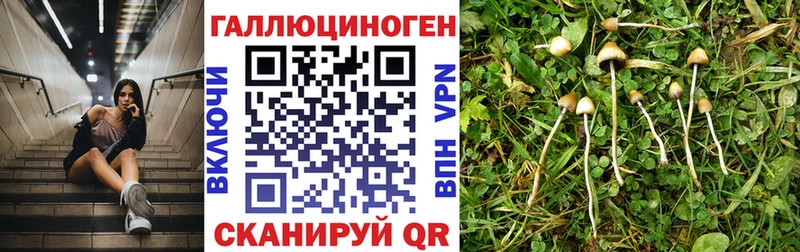 даркнет клад  Подольск  Псилоцибиновые грибы ЛСД  купить наркоту 